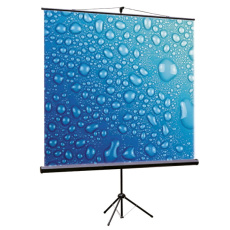 Мобильный экран для проектора Viewscreen Clamp (1:1) 100″ 180*180 MW (арт. TCL-1102)