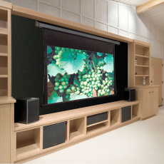 Моторизированный экран Draper Premier (16:10) 113″ 152*244 XH600V Case:white, EBD:12″ (арт. 101797W)