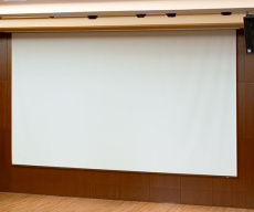 Моторизированный экран Draper Paragon/E (16:10) 392″ 527*843 XT1000E (арт. 114237)