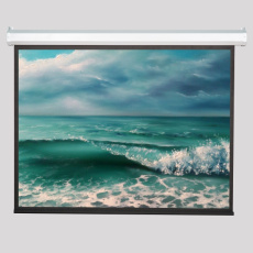 Моторизированный экран для проектора Viewscreen Antis (4:3) 800*603 (788*591) MW (арт. EAN-4307)