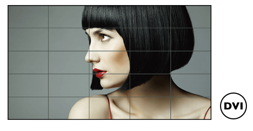 BenQ PL552 Слот OPS