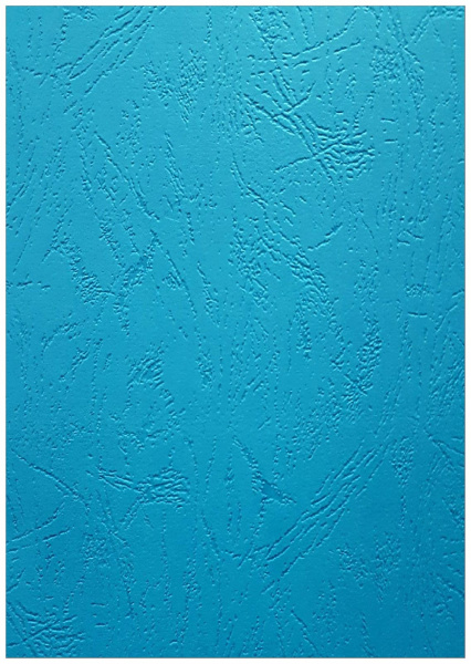 Картонные обложки для брошюровки Реалист кожа, А4, темно-бирюзовые (100 шт.) (арт. 3907)