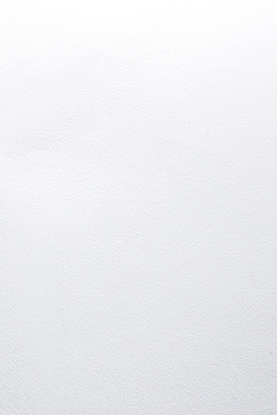 Обложка для переплета Реалист ПВХ, А4, 0,18мм, кожа, прозрачные/прозрачные (100 шт.) (арт. 4385)