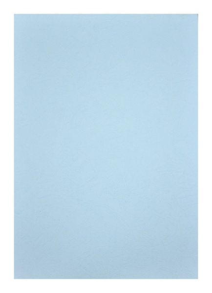 Картонные обложки для брошюровки Реалист кожа, А3, бирюзовые (100 шт.) (арт. 3899)