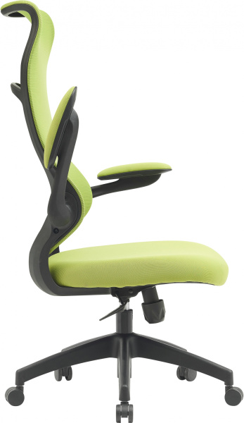 Кресло Cactus (салатовый) (арт. CS-MC505-GN)