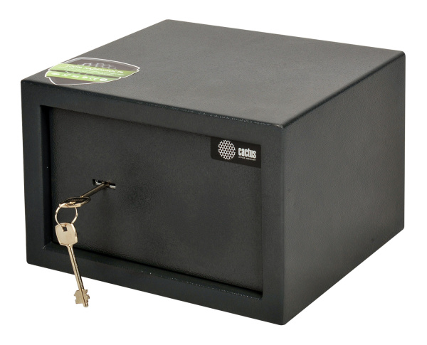Сейф мебельный Cactus (200x280x250мм) (арт. CS-SF-K18)