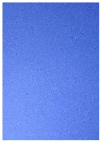 Картонные обложки для брошюровки Реалист кожа, А4, синие (100 шт.) (арт. 3913)