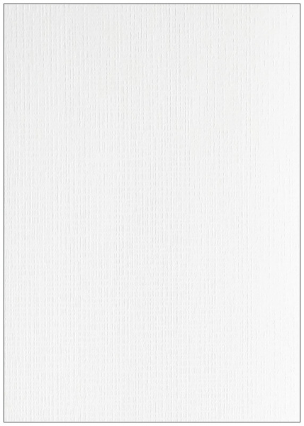 Картонные обложки для брошюровки Реалист лён, А3, белые (100 шт.) (арт. 4556)