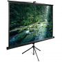 Экран для проектора Cactus 165x220см TriExpert 4:3 напольный рулонный черный (арт. CS-PSTE-220X165-BK)