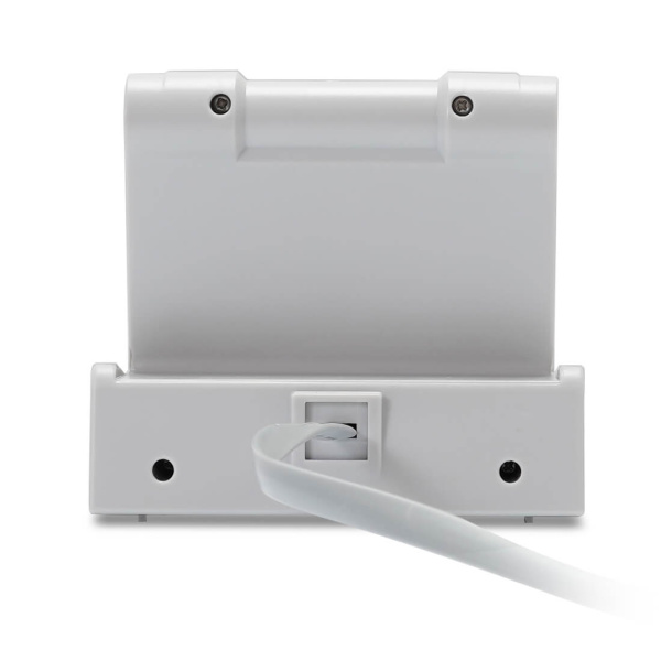 Выносной дисплей Mertech для C-100 CIS (арт. 5031)