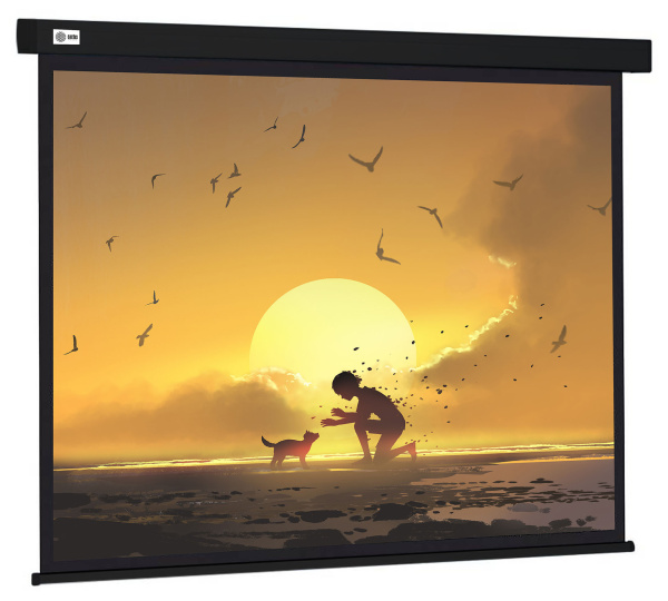 Экран Cactus Wallscreen (150x150см) (арт. CS-PSW-150X150-BK)