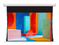 Экран для проектора Sakura Printing SCPSMT-250x140FG-ED30 113", белый, ED30 см (арт. SCPSMT-250x140FG-ED30)