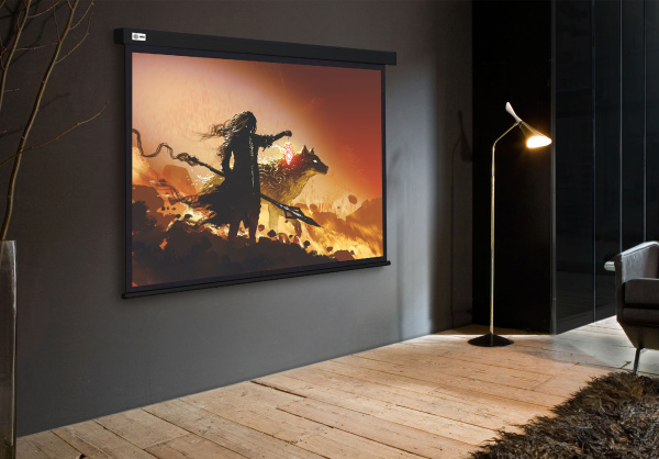 Экран Cactus Wallscreen (149.4x265.7см) (арт. CS-PSW-149X265-BK)