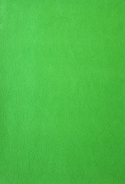 Картонные обложки для брошюровки Реалист кожа, А4, зеленые (100 шт.) (арт. 3911)