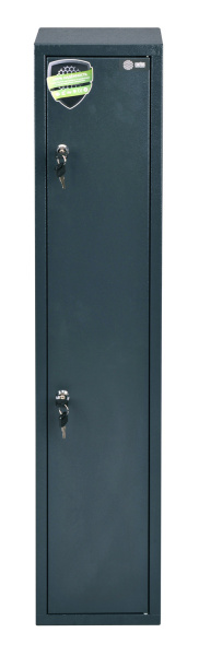 Сейф мебельный Cactus (1000x213x153мм) (арт. CS-SF-GK100)