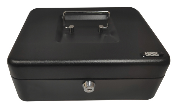 Ящик для денег Cactus (90x250x180) (арт. CS-CB-003)