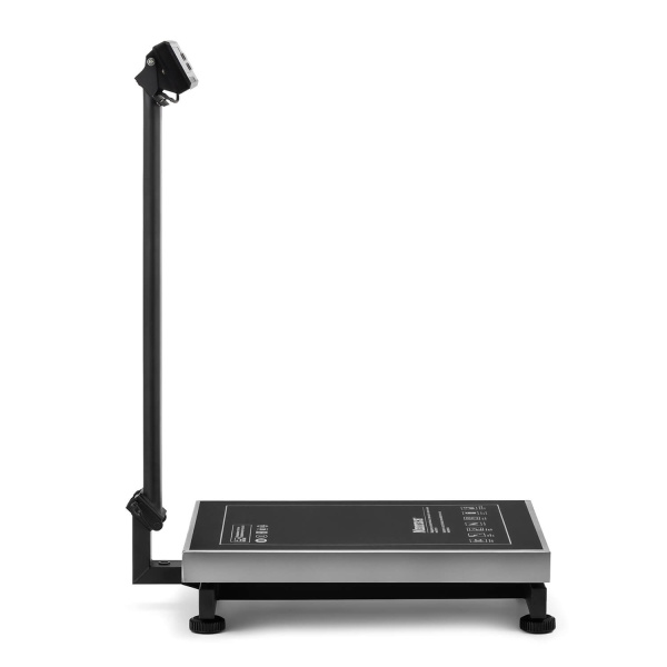 Фасовочные весы Mertech M-ER 334 ACFLP-300.50/100 LCD (арт. 1000)