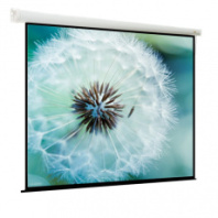 Моторизированный экран для проектора Viewscreen Breston (4:3, 366x274 см) (арт. EBR-4308)