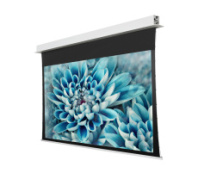 Моторизированный экран Viewscreen Annex 16:10 164″ 353*220 White Casing (с ИК пультом) (арт. HT-MI164(16:10)WW5(AACW))