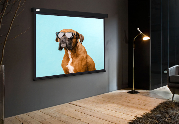 Экран Cactus Wallscreen (183x244см) (арт. CS-PSW-183X244-BK)