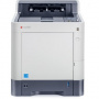 Цветной лазерный принтер Kyocera ECOSYS P7040cdn (арт. 1102NT3NL0)