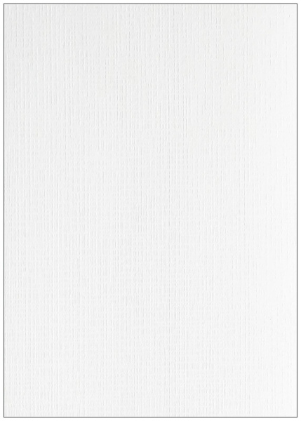 Картонные обложки для брошюровки Реалист лён, А3, белые (100 шт.) (арт. 8332)