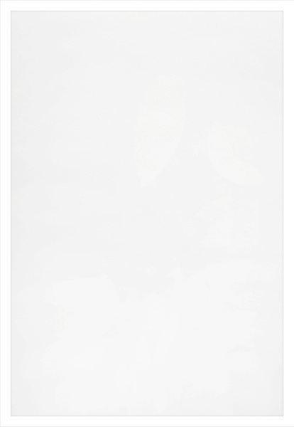 Обложка для переплета Реалист ПП, матовые А4, 0,40мм, прозрачные/прозрачные (50 шт.) (арт. 4417)