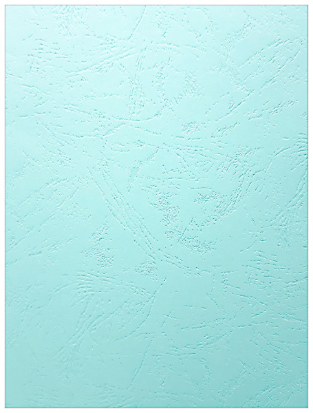 Картонные обложки для брошюровки Реалист кожа, А4, бирюзовые (100 шт.) (арт. 3898)