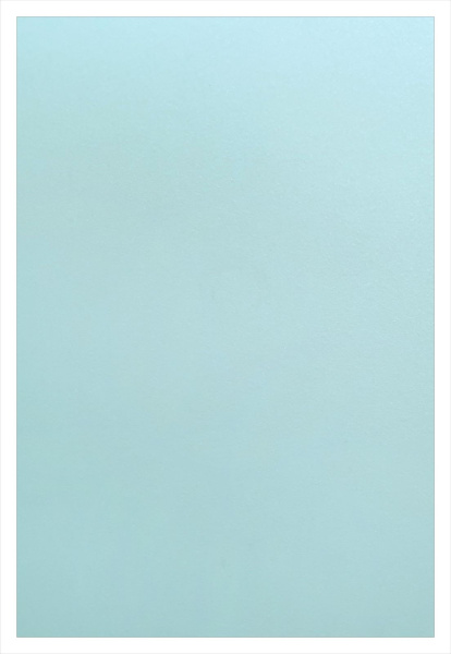 Обложка для переплета Реалист ПП, матовые А4, 0,40мм, прозрачные/синие (50 шт.) (арт. 4418)