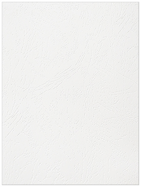 Картонные обложки для брошюровки Реалист кожа, А3, белые (100 шт.) (арт. 8255)