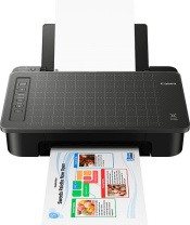 Принтер цветной струйный Canon PIXMA TS304 (арт. 2321C007)