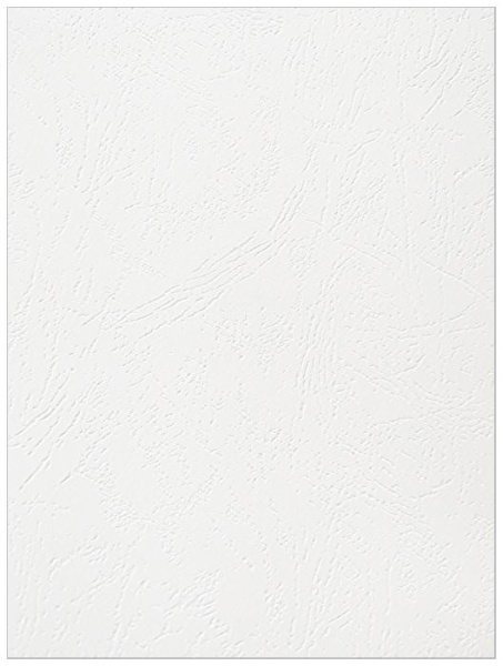 Картонные обложки для брошюровки Реалист кожа, А4, белые (100 шт.) (арт. 8250)