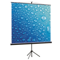 Мобильный экран для проектора Viewscreen Clamp (16:9) 240*137 (234*131) MW (арт. TCL-16904)