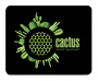 Коврик для мыши Cactus Мини черный 250x200x3мм (арт. CS-MP-D03S)