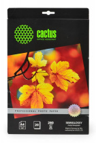 Фотобумага Cactus Prof A4/280г/м2/20л./белый полуглянцевое для струйной печати (арт. CS-SGA428020) Фотобумага Cactus Prof A4/280г/м2/20л./белый полуглянцевое для струйной печати (арт. CS-SGA428020)