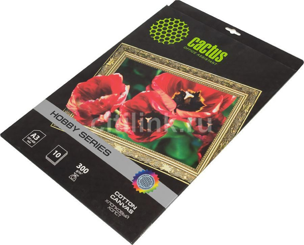 Холст Cactus Холст CS-СGA426010 A4/340г/м2/10л. глянцевое хлопок для струйной печати (арт. CS-CGA426010)