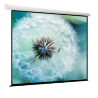 Моторизированный экран для проектора Viewscreen Breston (16:10) 274*274 (266*171) MW (арт. EBR-16105)