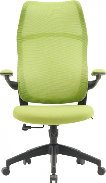 Кресло Cactus (салатовый) (арт. CS-MC505-GN)