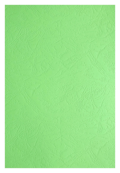 Картонные обложки для брошюровки Реалист кожа, А4, светло-зеленые (100 шт.) (арт. 3896)