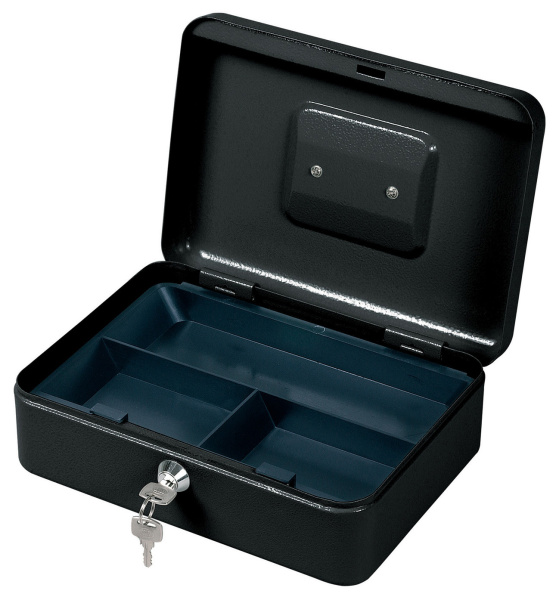 Ящик для денег Cactus (90x250x180) (арт. CS-CB-003)