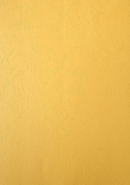 Картонные обложки для брошюровки Реалист кожа, А3, песочные (100 шт.) (арт. 3903)