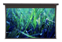 Моторизированный экран Viewscreen Regal, 554 x 376 (538 x 336) см, 16:10, PW, черный корпус, пульт (арт. RG-250F16*10)