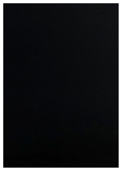 Обложка для переплета Реалист ПП, пластик А4, 0,40мм, черные (50 шт.) (арт. 4424)