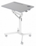 Стол для ноутбука Cactus VM-FDS101B, столешница МДФ, серый, 70x52x106 см (арт. CS-FDS101WGY)